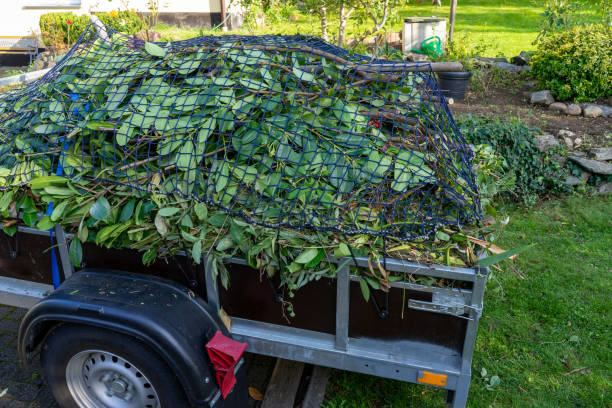 Best Shed Removal  in Palos Park, IL